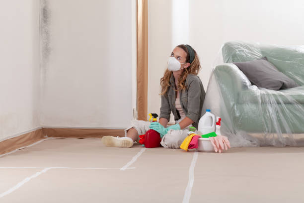 Reliable Mold Remediation contractor in Chambersburg, PA by WQB Mold Removal